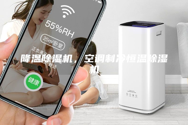 降溫除濕機(jī)，空調(diào)制冷恒溫除濕機(jī)