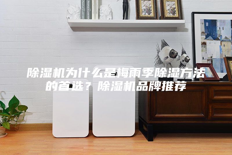 除濕機為什么是梅雨季除濕方法的首選？除濕機品牌推薦