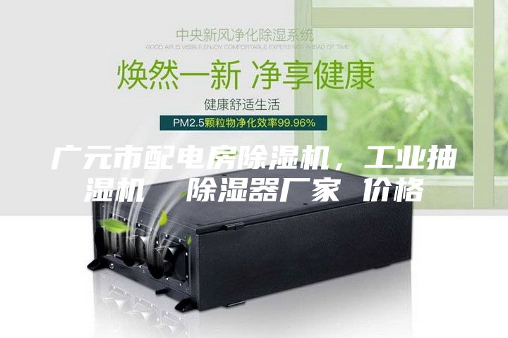 廣元市配電房除濕機(jī)，工業(yè)抽濕機(jī)  除濕器廠家 價格