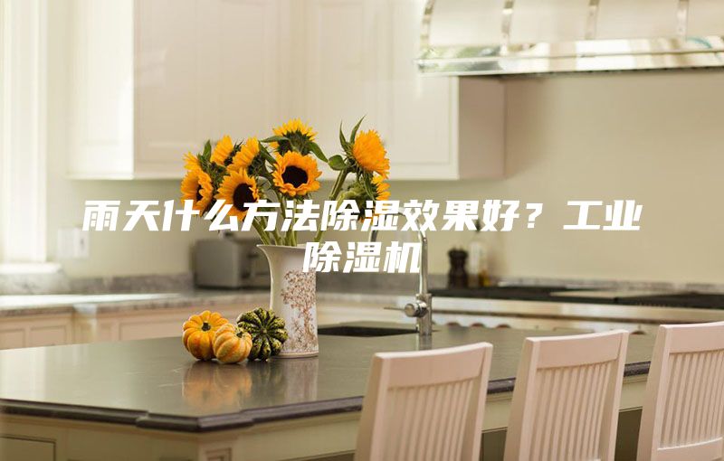 雨天什么方法除濕效果好？工業(yè)除濕機