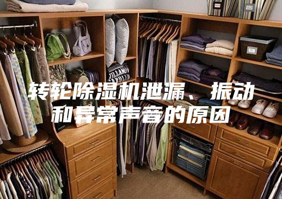 轉(zhuǎn)輪除濕機泄漏、振動和異常聲音的原因