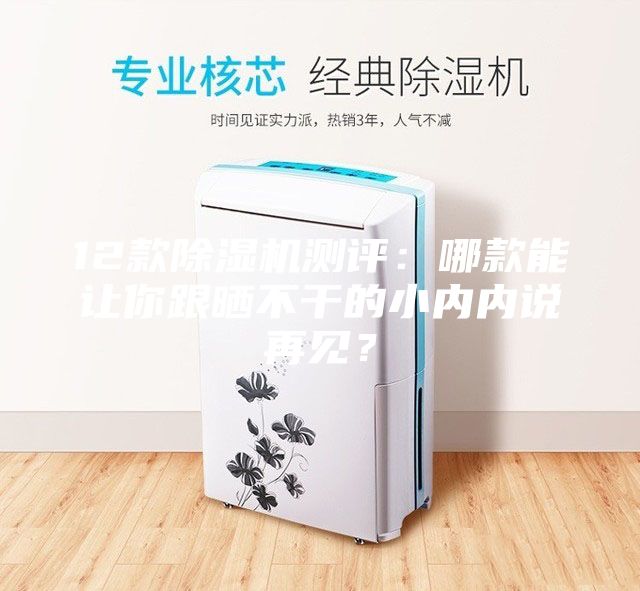 12款除濕機(jī)測(cè)評(píng)：哪款能讓你跟曬不干的小內(nèi)內(nèi)說再見？