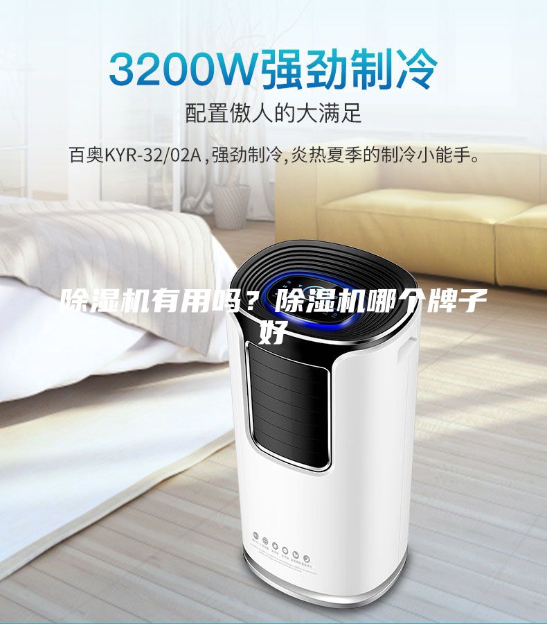 除濕機有用嗎？除濕機哪個牌子好