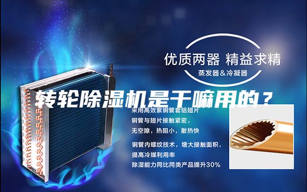 轉(zhuǎn)輪除濕機是干嘛用的？