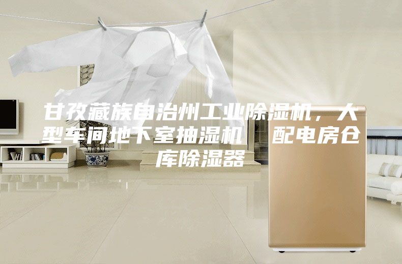 甘孜藏族自治州工業(yè)除濕機(jī)，大型車間地下室抽濕機(jī)  配電房倉庫除濕器